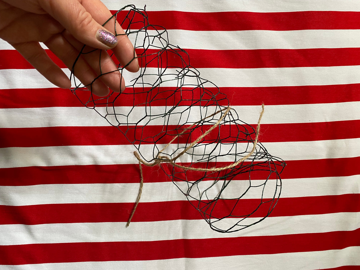 Coated Chicken Wire for Vases