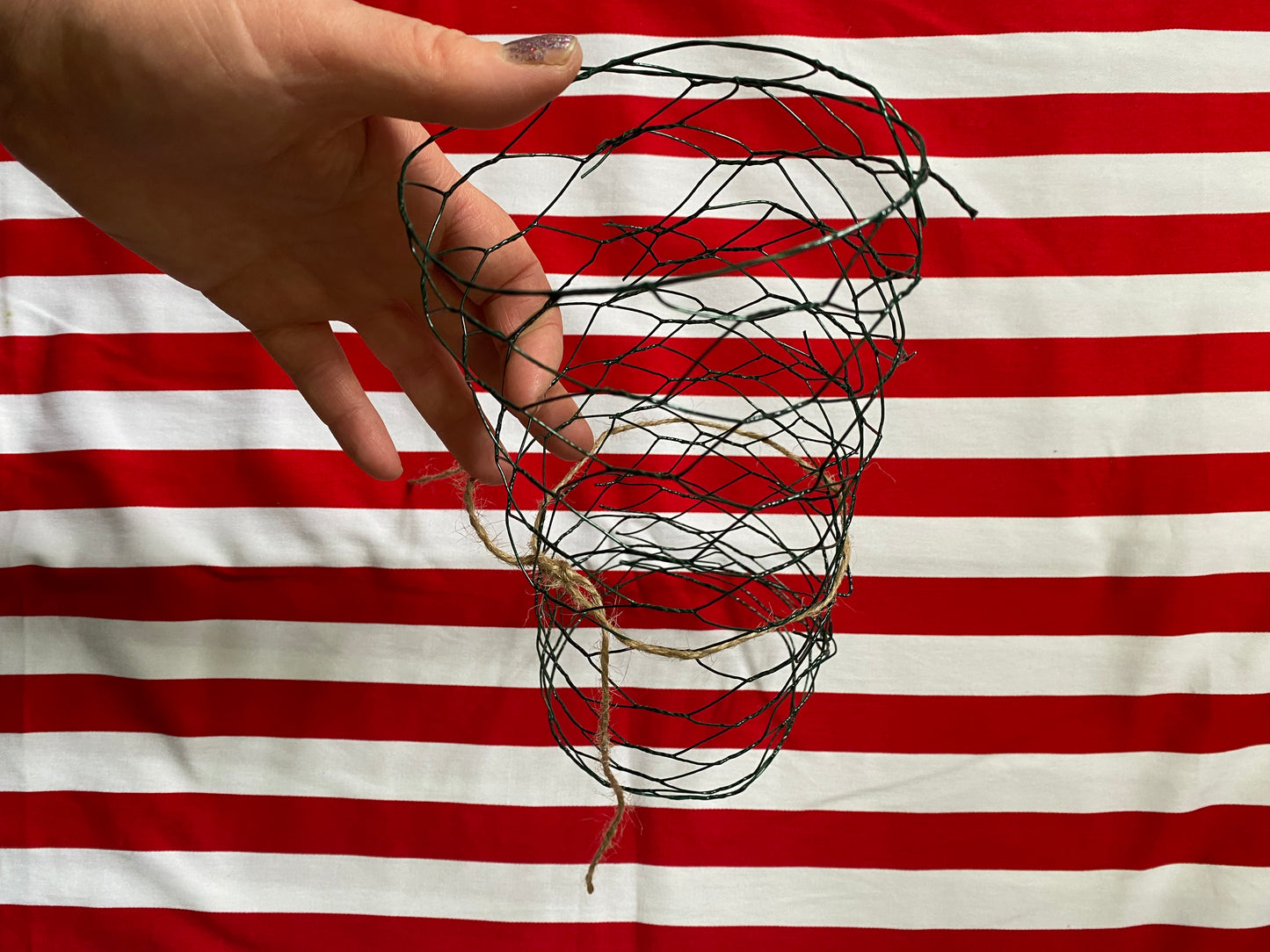 Coated Chicken Wire for Vases