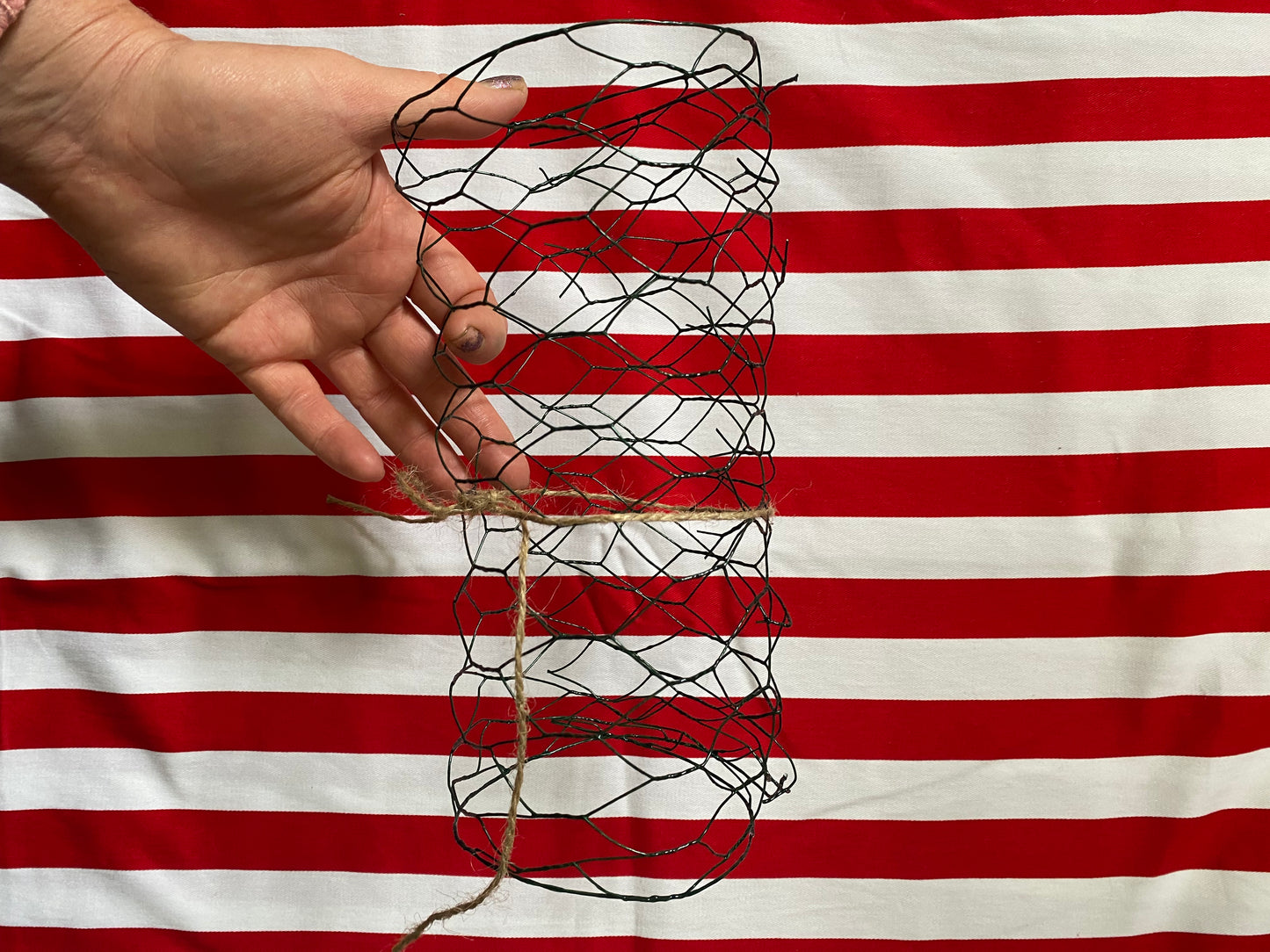 Coated Chicken Wire for Vases